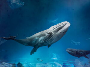 Ocean pollution campaign with whale swimming with plastic bags floating