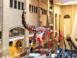 royal ontario museum dinosaur exhibition