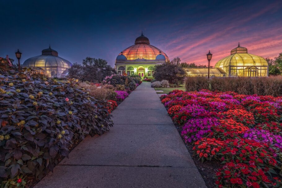 Family-Friendly Activities in Buffalo: How to Spend a Day with Kids