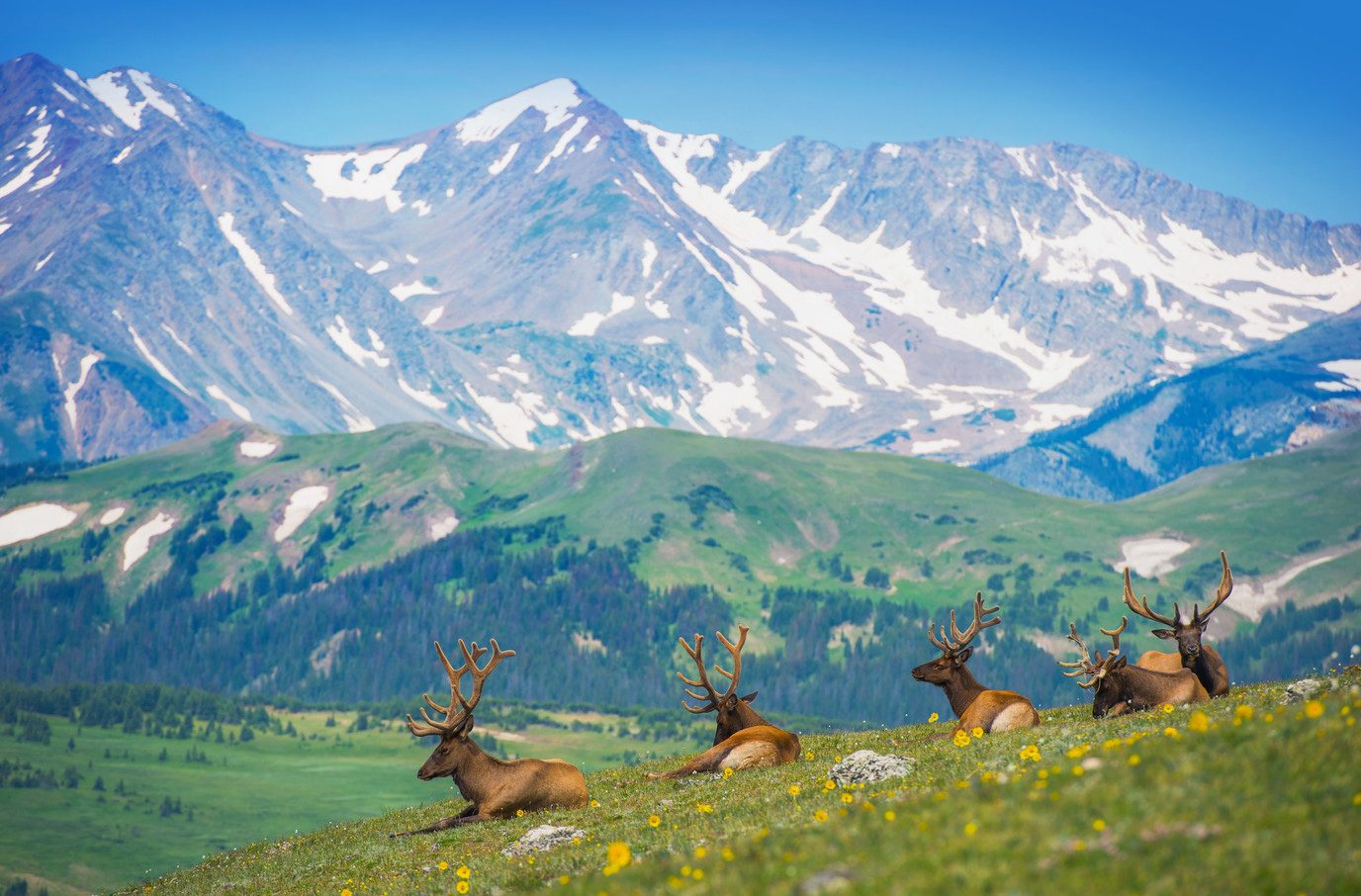 Rocky Mountain National Park – Colorado