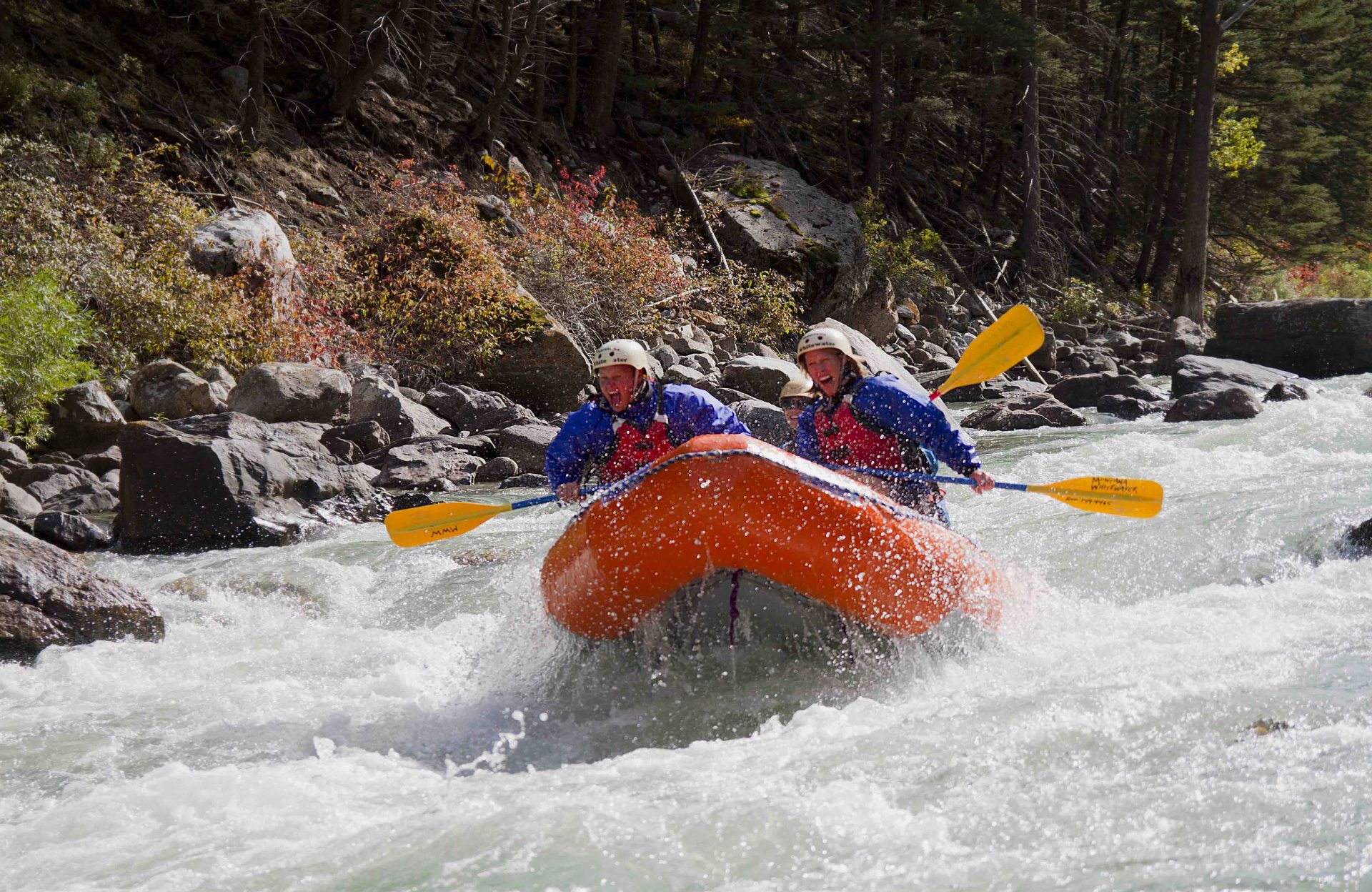 Ultimate Guide to Yellowstone National Park_ Fees & Activities